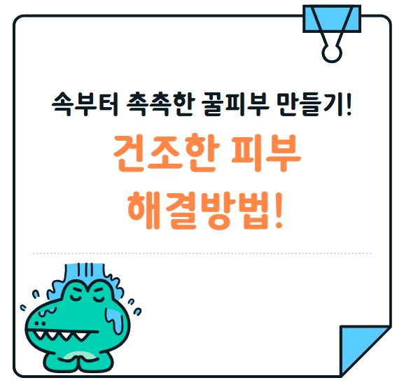 속부터 촉촉한 꿀피부 만들기! 건조한 피부 해결법