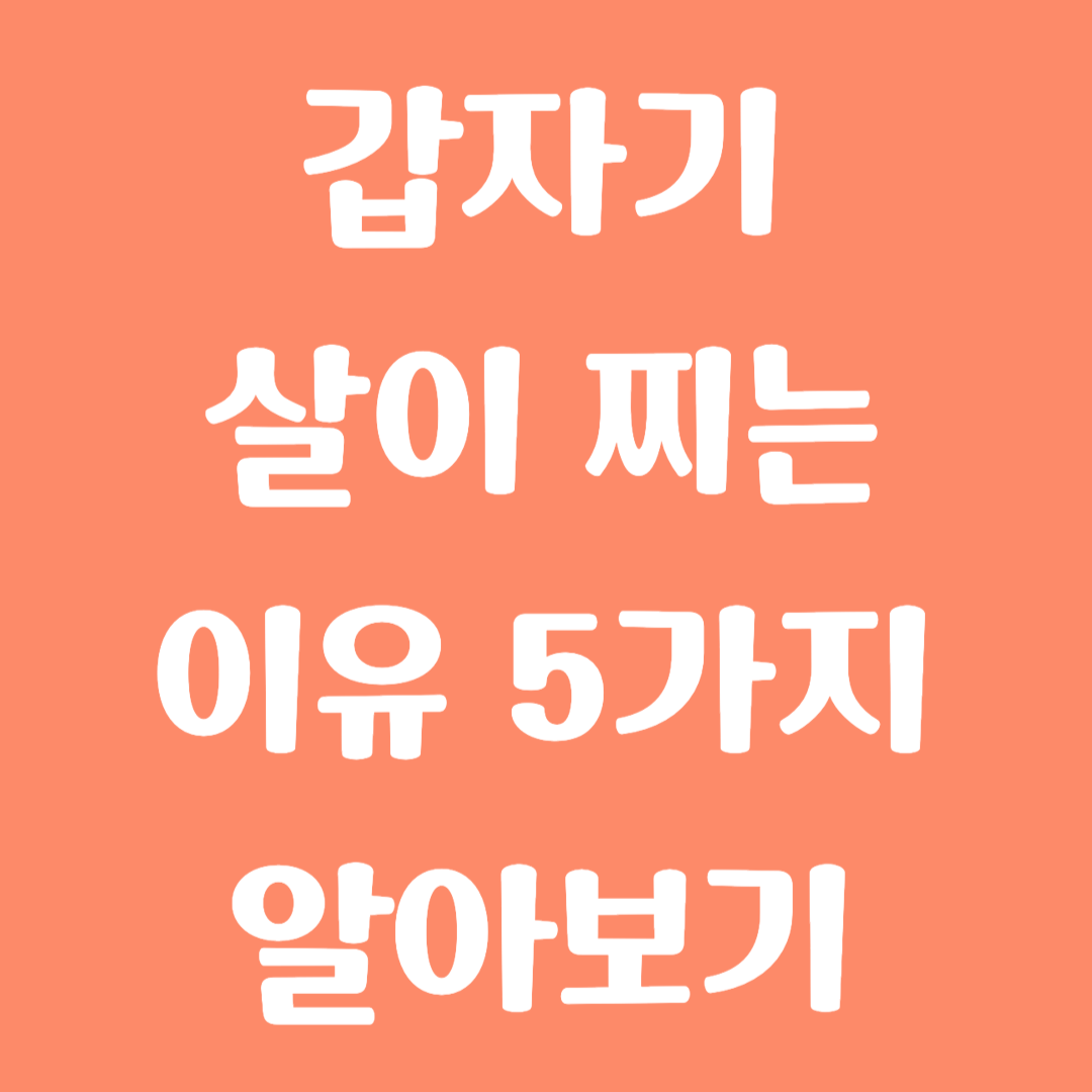 갑자기 살이 찌는 이유 5가지