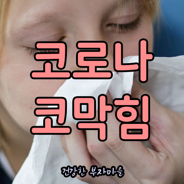 코로나_코막힘