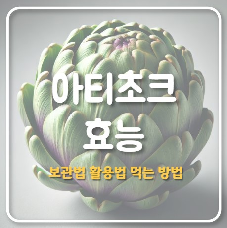 아티초크 효능