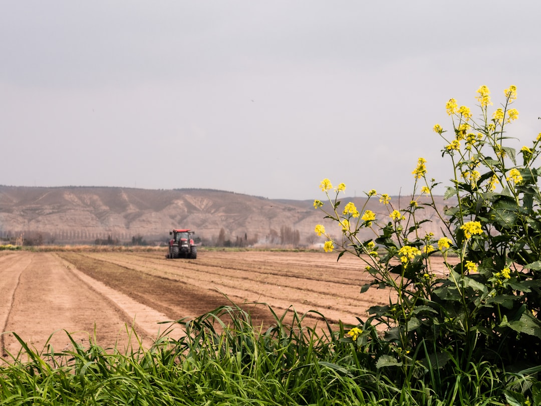 Agricultural Management