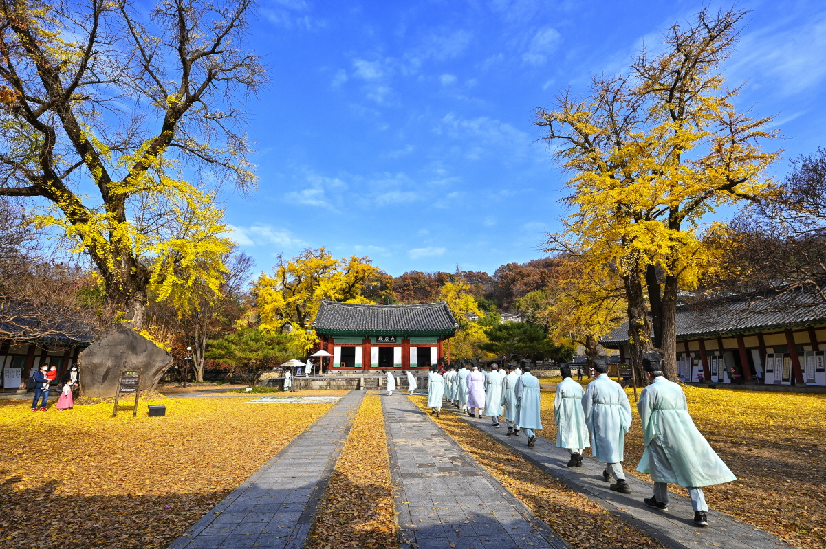 전주여행 가볼만한 곳 베스트10_ 06. 전주향교 (포토스팟&amp;#44; 주차&amp;#44; 체험프로그램&amp;#44; 입장료&amp;#44; 운영시간)