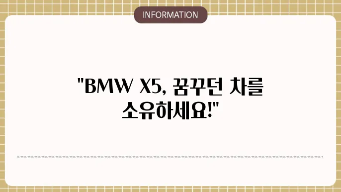 bmw x5 장기렌트