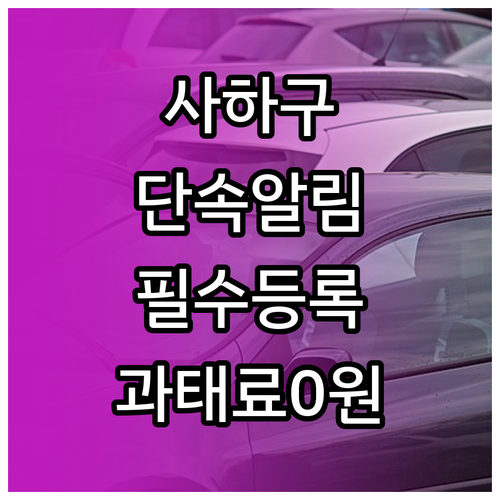 사하구 주정차단속 문자 알림 서비스 ..