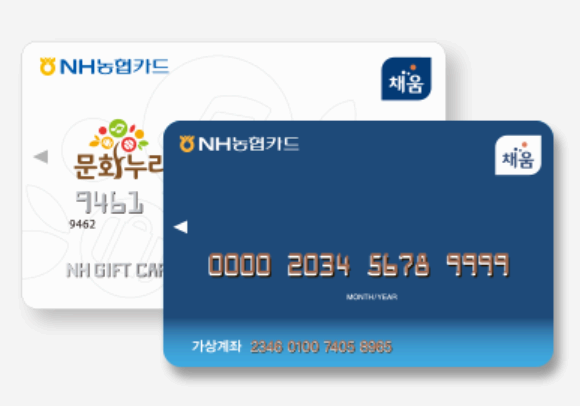 문화누리카드란? 발급대상자부터 발급방법, 충전시기까지 상세 가이드