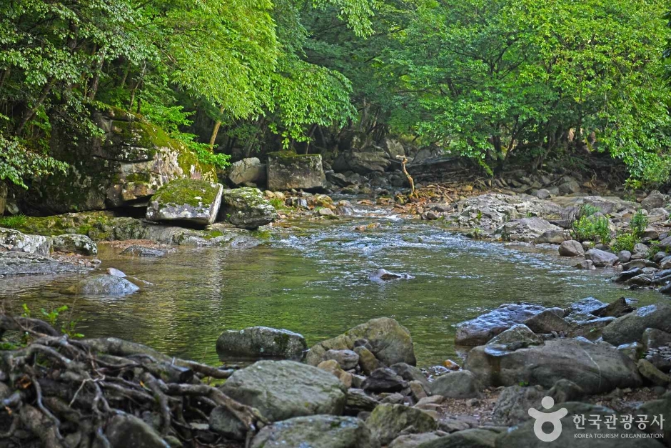 장성 가볼만한곳 베스트10