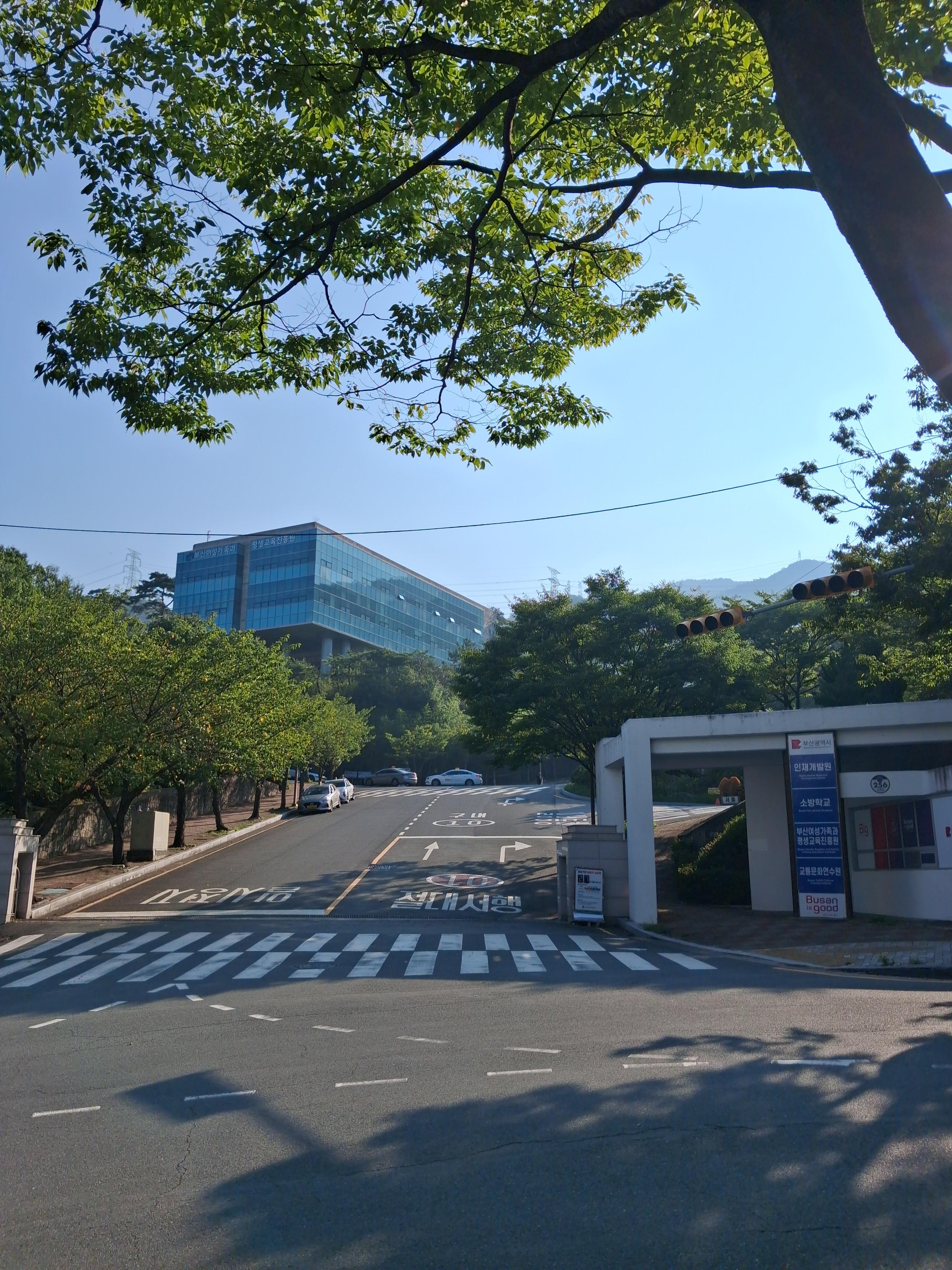 푸른 나뭇잎 사이로 보이는 맑은 하늘과 건물 풍경