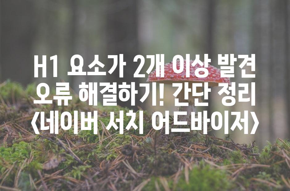 샘플 (42)