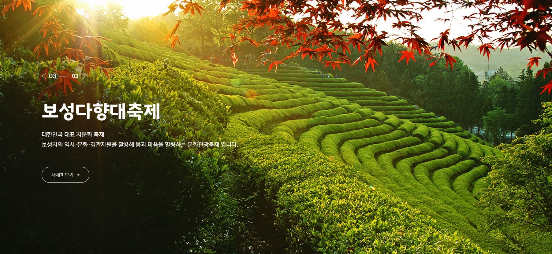 보성-다향-대축제