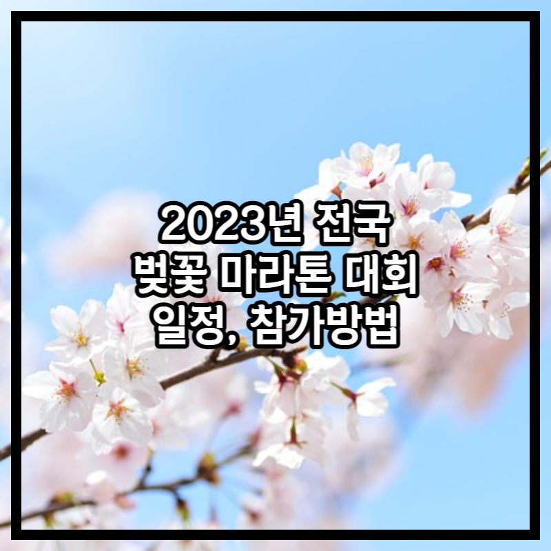 2023 전국 벚꽃 마라톤 대회 썸네일 사진