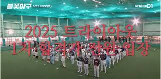 불꽃야구 시청