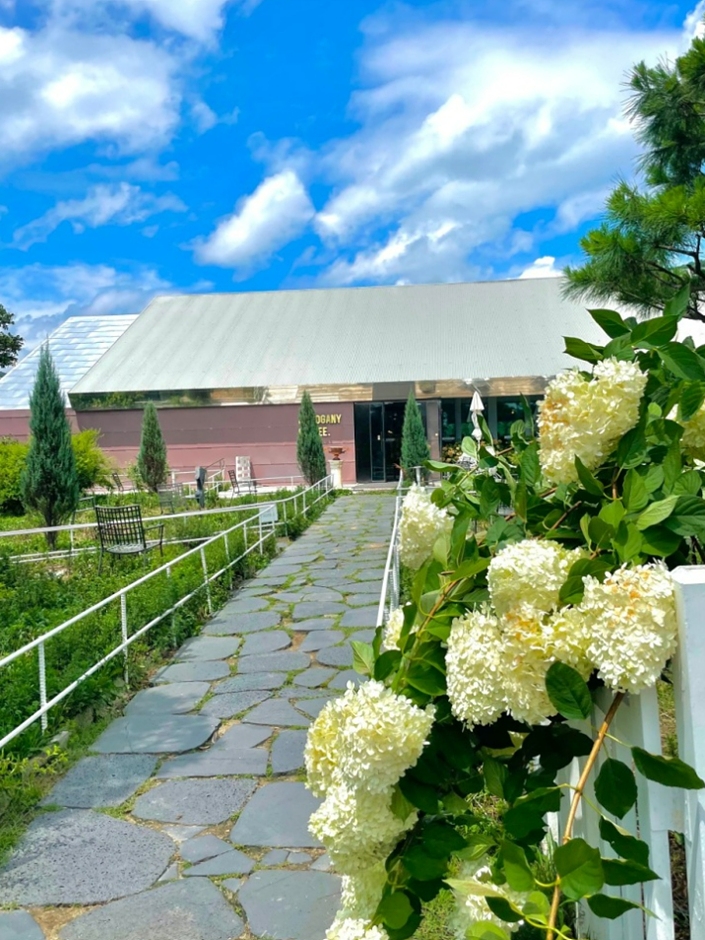 인천 강화도 뷰맛집 카페