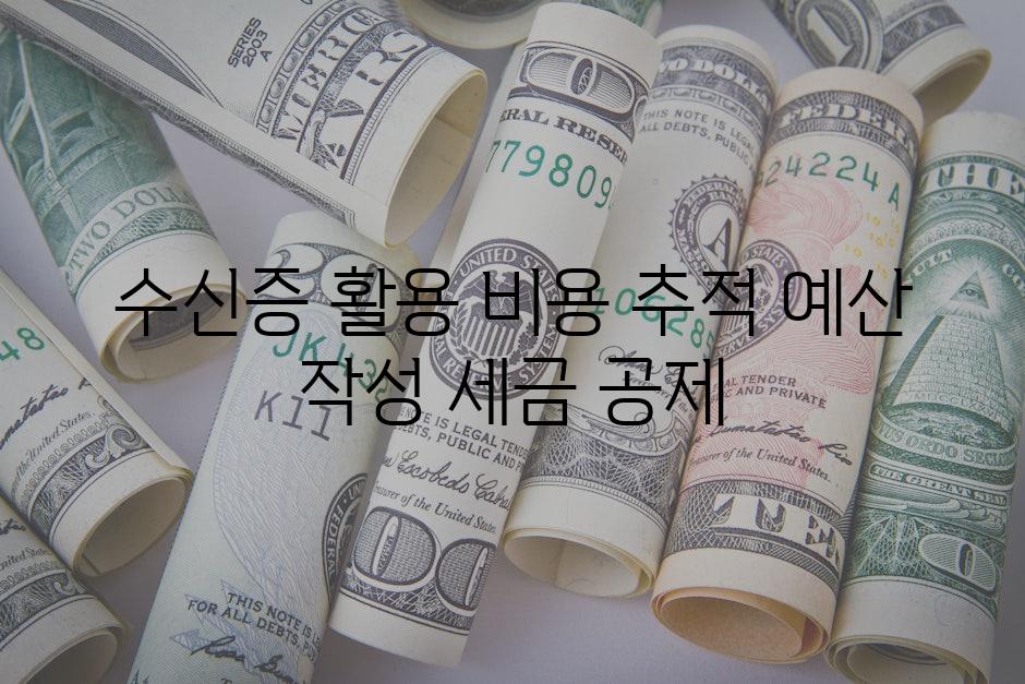 수신증 활용 비용 추적 예산 작성 세금 공제