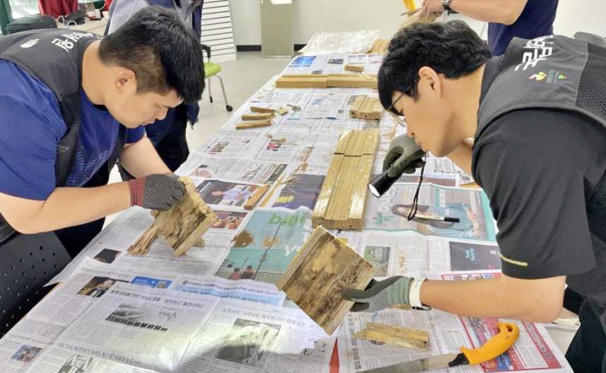 강남 외래 흰개미 역학조사, 문화재청