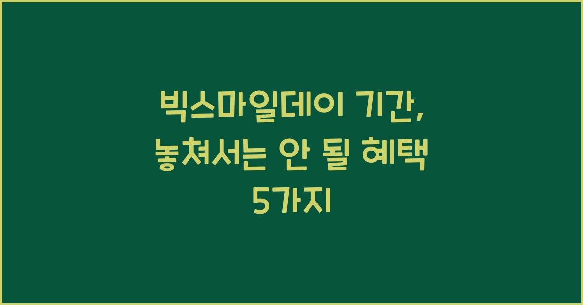 빅스마일데이 기간