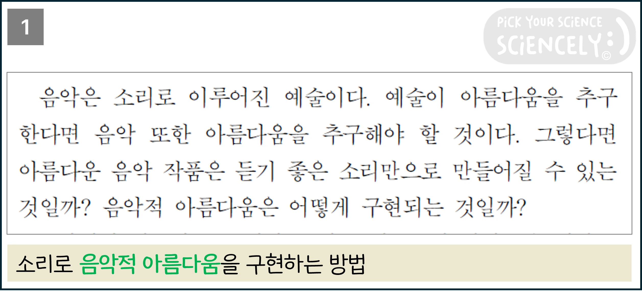 국어 독서 과학기술, 국어 비문학 과학기술, 17학년도 고3 6평 Q28-33, 음악의 아름다움, 1문단, 음악은 소리로 이루어진 예술이다.