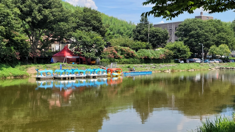관방제림산책코스