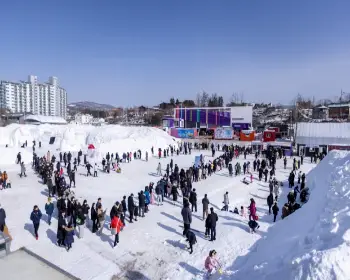 대관령 눈꽃축제_2