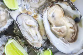 통영굴 직거래 가격&amp;#44; 효능 및 영양성분 부작용