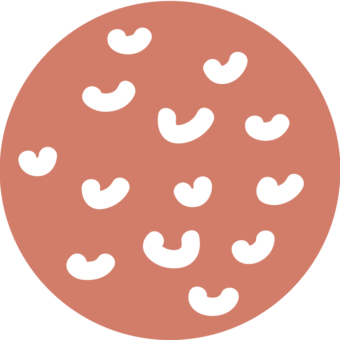 인스타 스토리 하이라이트