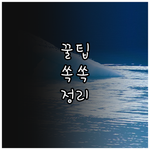 2025 도봉구 산모 신생아 본인부담..