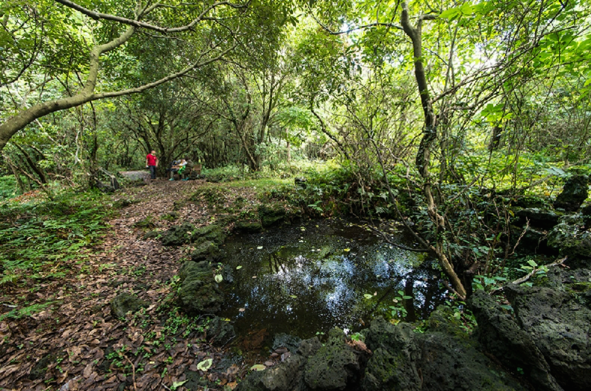 제주도 가을 여행지 추천