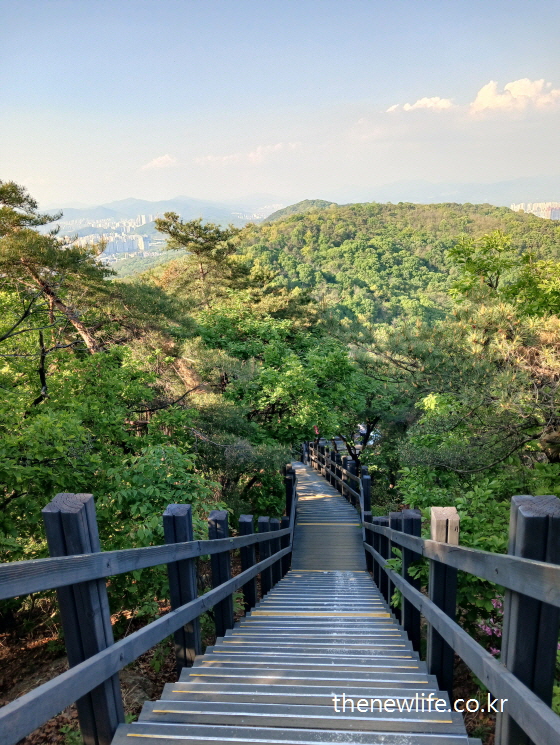“Top-down view of long wooden stairs on a mountain trail”-“위에서 내려다본 등산 목재 계단 – 계단 내려가기 주의 구간”