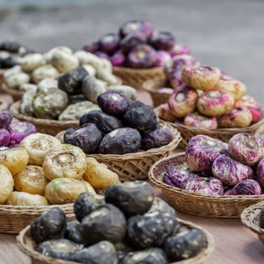 여러종류의 마카