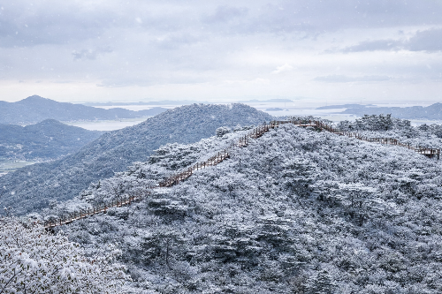 인천 겨울 여행 명소, 인천대공원·소래습지·계양산·강화고려산