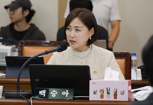 백승아 국회의원 정치 경력