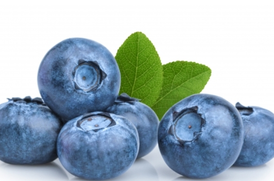 60๋ ์น๋งค ์๋ฐฉ ์ํ, ์ด 5๊ฐ์ง๋ ๊ผญ ์ฑ๊ธฐ์ธ์