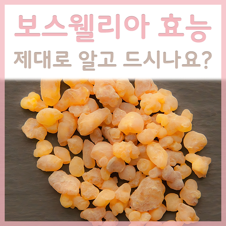 보스웰리아-원료