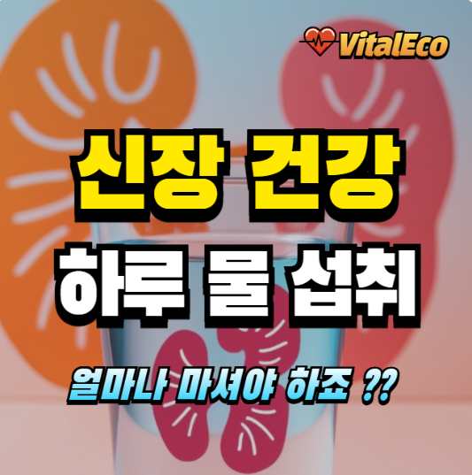 신장을 위한 하루 물 섭취량 알아보기