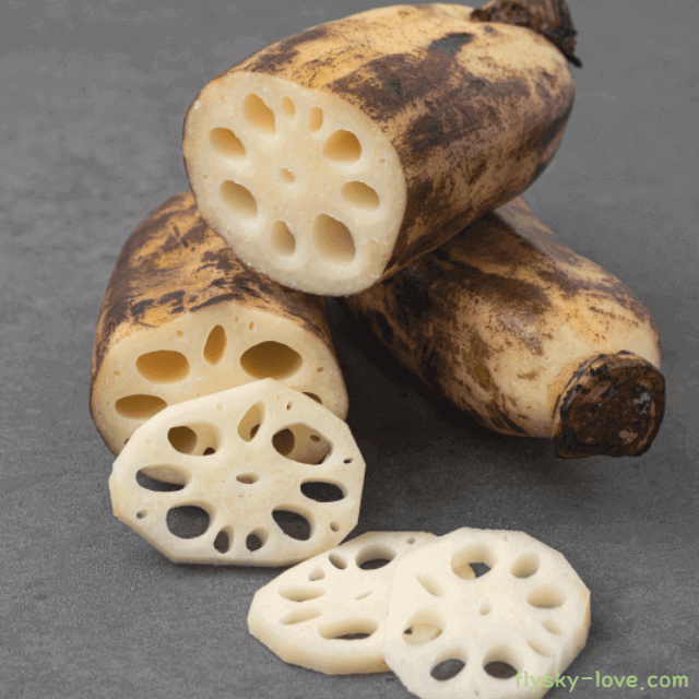 피로회복에 탁월한 연근