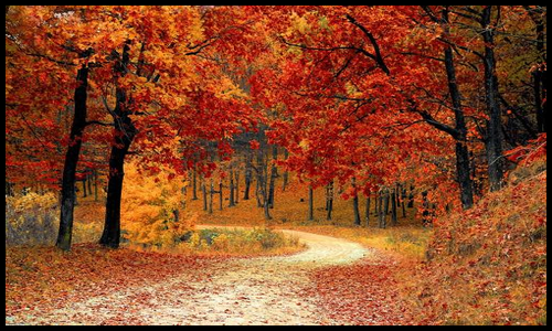 아르기닌 효능 알아보기7