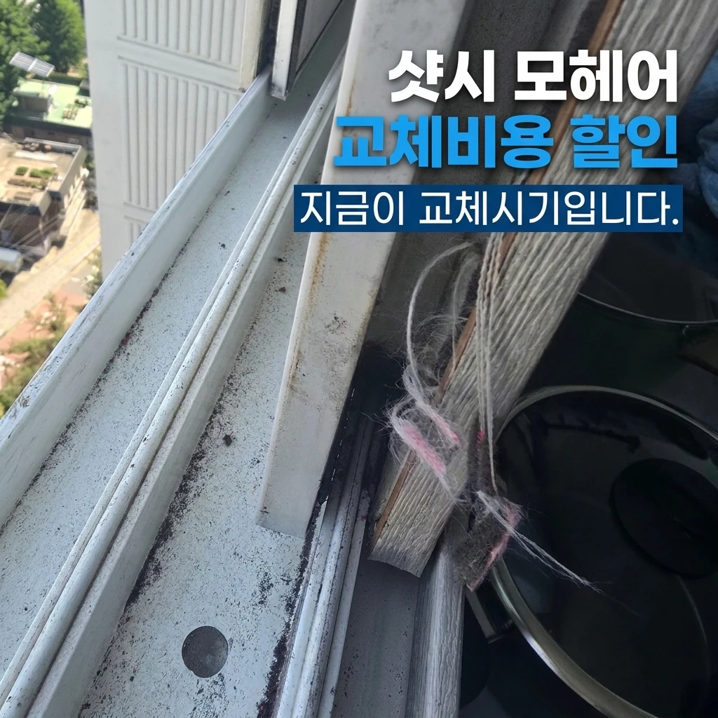 미세방충망 교체 후에도 날파리가 나오는 진짜 이유 (샷시 방풍털의 비밀)