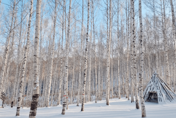국내 겨울여행지 추천