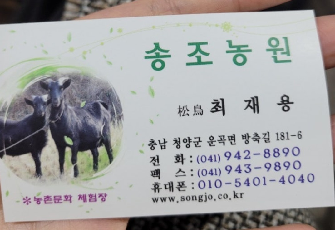 청양-송조농원-흑염소풀코스