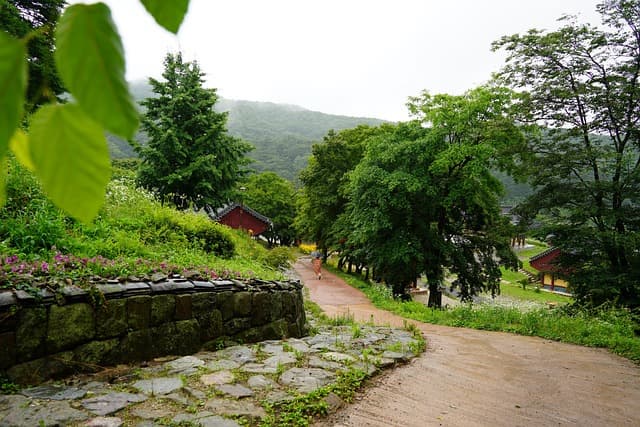 여행 전문가의 노하우: 전문 여행 플래너가 준비하는 완벽한 일정