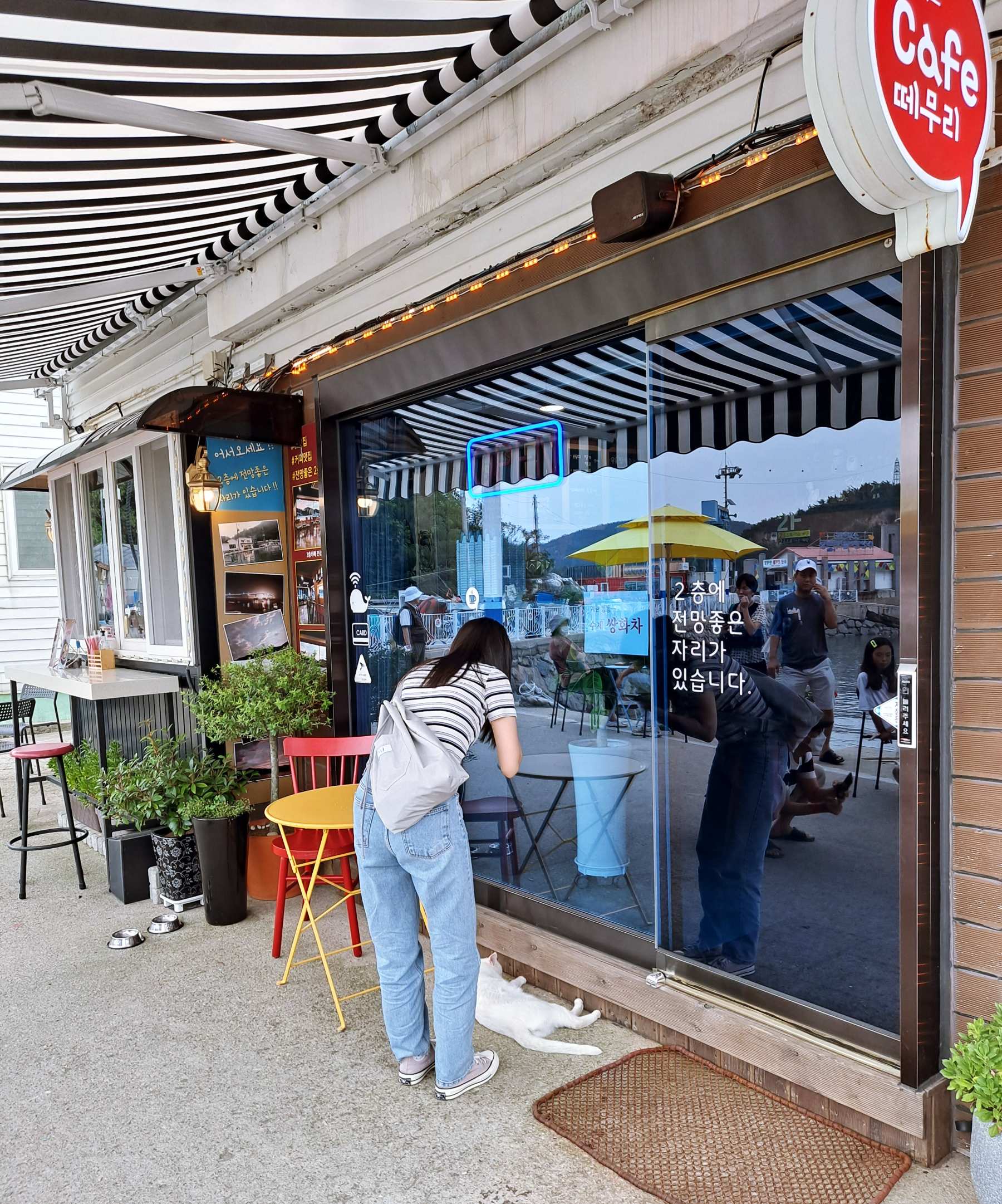 카페 떼무리 앞 누워있는 냥이