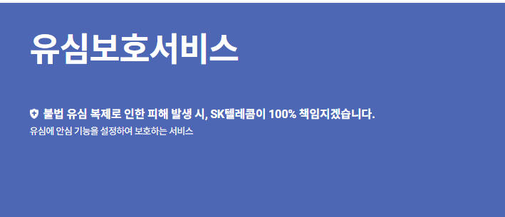 유심보호서비스 란