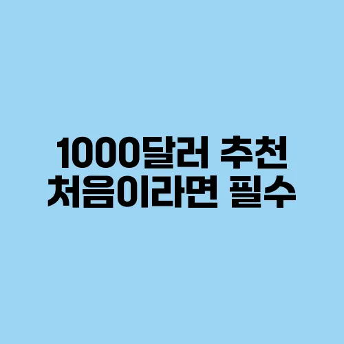 1000달러 추천 처음이라면 필수