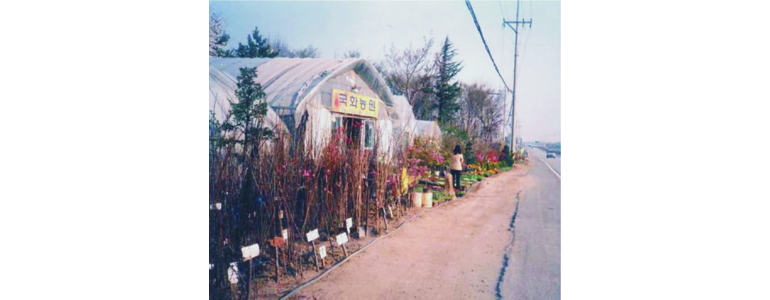 양양군 조경