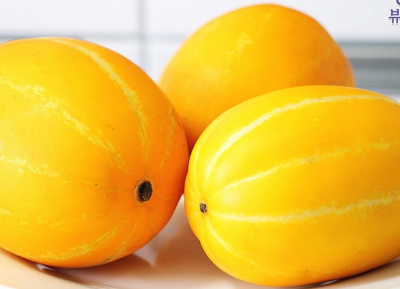 참외-효능-부작용-하루-섭취량-관련-사진