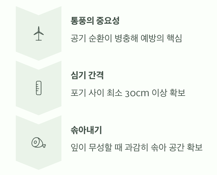 바람길, 병충해를 막는 최고의 방패