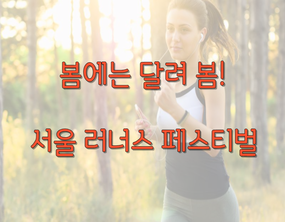 서울 러너스 페스티벌
