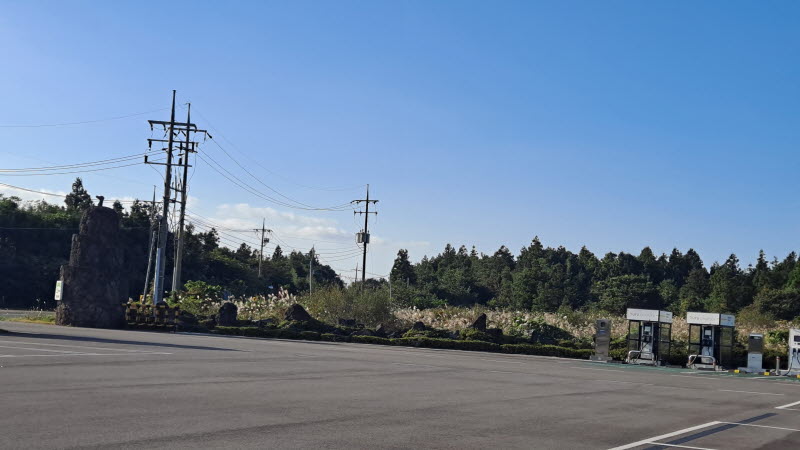 제주여행_성읍녹차마을