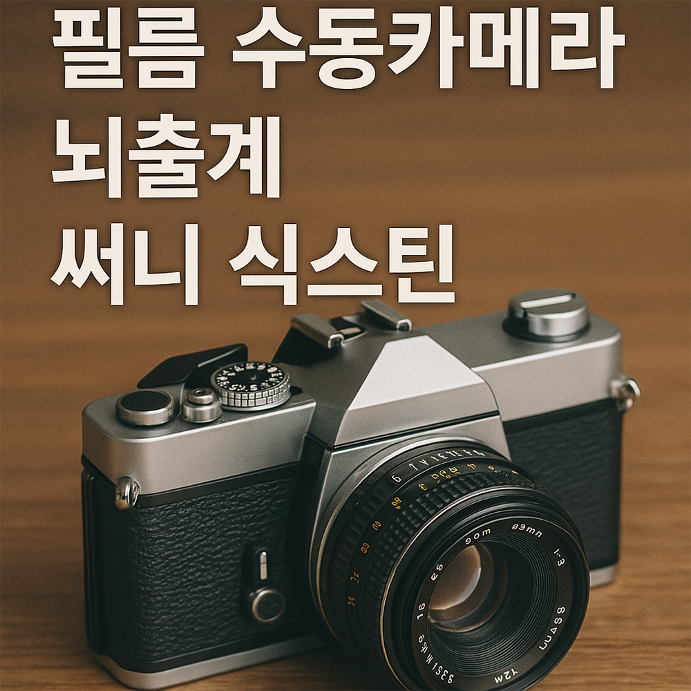 필름 수동카메라 노출계 없이 뇌출계로 촬영하는 방법