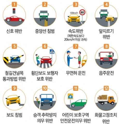 운전자보험 보장내용