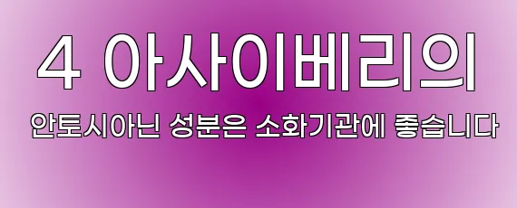  4 아사이베리의 안토시아닌 성분은 소화기관에 좋습니다